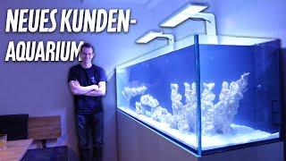 Kunde bekommt NEUES AQUARIUM - Wir bauen das DD 1800 auf *PlanktonPlus Aquaristik*