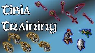 Tibia - Training (2024)