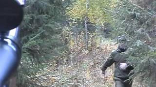 На лося "на реву" 2010г Elchjagd Russland elk hunt Russia