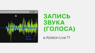 Запись звука (голоса) в Ableton Live 11 [Ableton Pro Help]