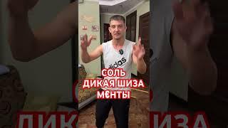 СОЛЬ.Дикая ШИЗА #алексеймакаров #реабилитация #альфапвп