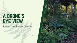 A Drone's Eye View of Plant Delights Nursery