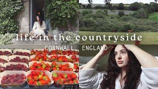 Days at home in the countryside  gardening, country walks & farm shop haul