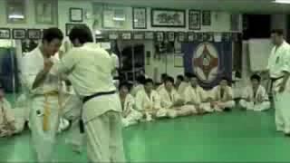 Kyokushin Fights pase de grados