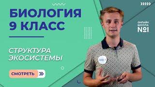 Структура экосистемы. Видеоурок 27. Биология 9 класс