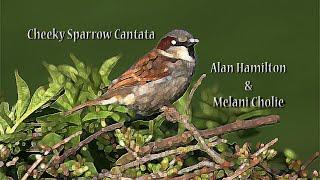 Cheeky Sparrow Cantata