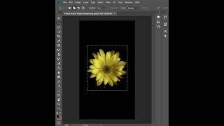 Remove Image In Photoshop|Shorts |NA Graphics|tutorial