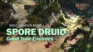 [Act 1] Solo Druid - Gnoll Your Enemy - Honour Mode