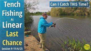 Tench Fishing At Linear - Can I Catch THIS Time? - Last Chance Saloon - 9 to 11/6/25  (Video 586)