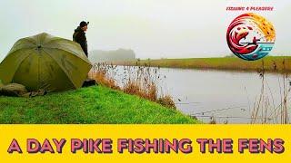 A day Pike fishing a Fenland drain : Pike fishing UK