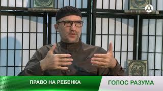 Голос разума. 5.06.2024 г.