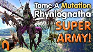 ARK RHYNIOGNATHA TAMING TRAP ASE ONLY!