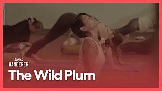 The Wild Plum | SoCal Wanderer | Season 2, Episode 2 | PBS SoCal