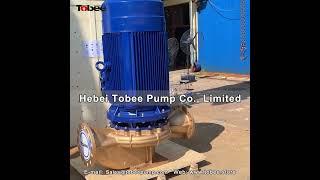 Tobee TSG250 500 Vertical Sea Water Pumps Supplier