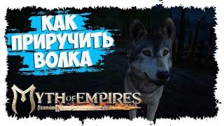 MYTH OF EMPIRES ►  МИНИ-ГАЙД ► КАК ПРИРУЧАТЬ ВОЛКА ► ГДЕ ВЗЯТЬ СУХОЖИЛИЕ