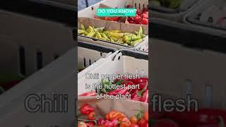 Do You Know | Tasty Food Facts #Shorts