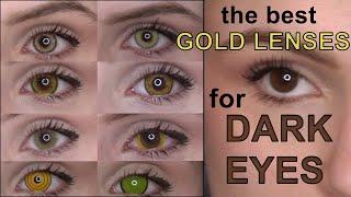 BEST GOLD LENSES FOR DARK EYES | Uniqso Review