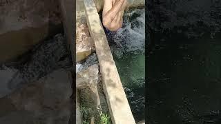 .whtsp+923066840058.. tubewell swimming in village Pakistan #tubewell #villagelife #relaxingbath