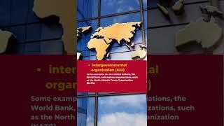 What is an International Organization?