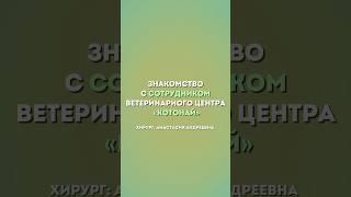 Хирург Анастасия Андреевна