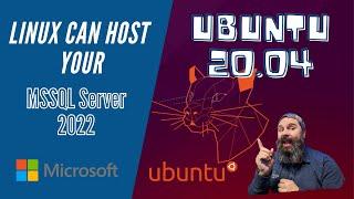 Setup MS SQL Server 2022 On Ubuntu 20.04 LTS