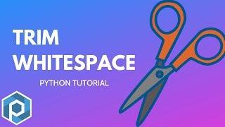 Python | Trim Whitespace From Strings with Strip Function