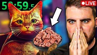 Stray Platinum Speedrun CAT FOOD CHALLENGE!