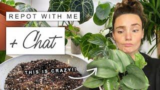 Plant Chores + Chat  Repot With Me  Chilled and Chatty