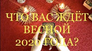 ЧТО ВАС ЖДЕТ ВЕСНОЙ 2020 ГОДА? ГАДАНИЕ ОНЛАЙН