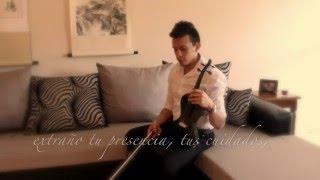 Felitsa by Yanni. Violin and Piano Cover - Diego Esteban