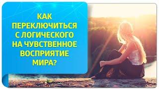 Как переключиться с логического на чувственное восприятие мира?