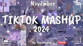 Tiktok Mashup November 2024 (Not Clean)