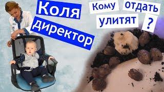 Сдаём кровь  КОЛЯ РАБОТЕТ В КЛИНИКЕ ‍️  как дела у наших улиток  ПОМИНАЛЬНЫЕ ДНИ   бебибосс