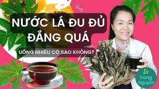 Lá đu đủ khô nấu nước uống chữa được bệnh gì?