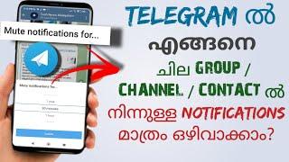 How To Disable Notification From Specific Groups Channels Or Contacts In Telegram | Malayalam