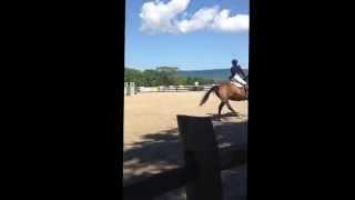 Audrey Wang & Rocky at Upperville Children's  High Jumper Classics 2014