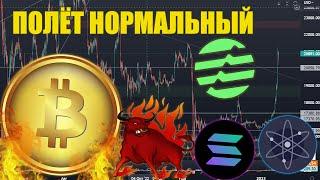 БИТКОИН УЛЕТЕЛ, НО ОБЕЩАЛ ВЕРНУТЬСЯ! КАКИЕ АЛЬТКОИНЫ ВЗЛЕТЯТ? КРИПТА 2023