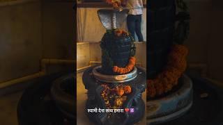Jay jaykara Swami dena sath hamara https://www.youtube.com/@kamleshofficial6092 ️#status #video 