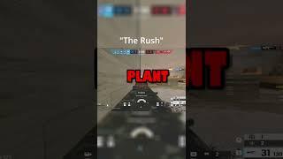 We rush planted!!  Credits to @Exeey