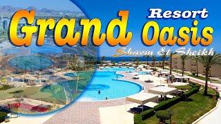 Grand Oasis Resort 4* Sharm El Sheikh Hotels, Egypt