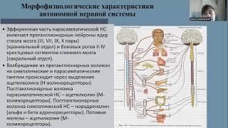 Автономные (вегетативные) нарушения. Неврогенные нарушения мочеиспускания и дефекации