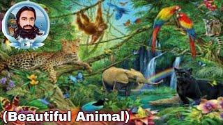 Beautiful Animal『RBM๛ Pendu VLOG