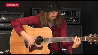 Guitar tips and tricks I (Janet Robin)