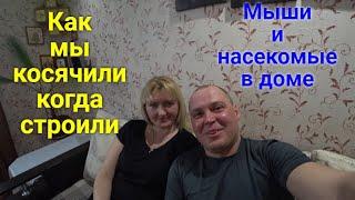 Ошибки в строительстве.Как избавиться от мышей./Errors in construction.How to get rid of mice.