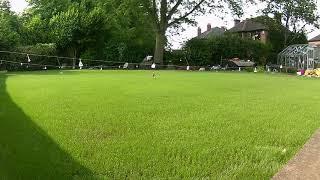 Time-Lapse of New Lawn Growing from Seed