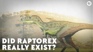 Did Raptorex Really Exist?