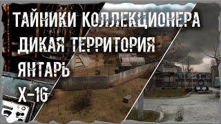 S.T.A.L.K.E.R. ОП - 2.1 Народная Солянка Тайники Коллекционера Дикая территория Янтарь Х 16