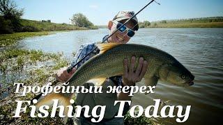 Трофейная рыбалка в Черноземье - Fishing Today