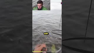 ОГРОМНЫЙ УЛОВ #русскаярыбалка4 #рр4 #russianfishing4