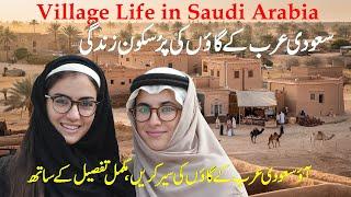 Village Life in Saudi Arabia | Exploring Traditions & Culture | in Urdu and Hindi